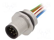 Connector: M12; socket; PIN: 8; male; 75V; IP68; cables; 0.25mm2; 0.5m IFM ELECTRONIC