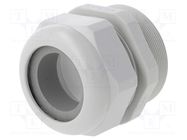 Cable gland; with long thread; M63; 1.5; IP68; polyamide; UL94V-0 HUMMEL