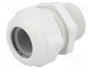 Cable gland; NPT1"; IP68; polyamide; light grey; UL94V-0; HSK-K HUMMEL