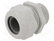 Cable gland; with long thread; M32; 1.5; IP68; polyamide; UL94V-0 HUMMEL