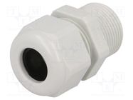 Cable gland; with long thread; PG16; IP68; polyamide; light grey HUMMEL