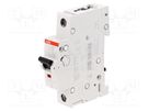 Circuit breaker; 230/400VAC; Inom: 2A; Poles: 1; Charact: C; 6kA ABB