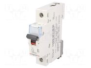 Circuit breaker; 230VAC; Inom: 2A; Poles: 1; for DIN rail mounting LEGRAND