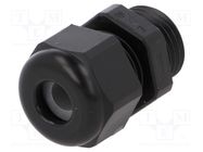 Cable gland; PG9; IP68; polyamide; black; UL94V-0; HSK-K HUMMEL