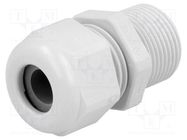 Cable gland; with long thread; PG13,5; IP68; polyamide; UL94V-0 HUMMEL