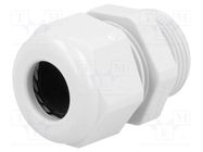 Cable gland; PG16; IP68; polyamide; light grey; UL94V-0; HSK-K HUMMEL