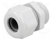 Cable gland; PG16; IP68; polyamide; light grey; UL94V-0; HSK-K HUMMEL