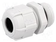 Cable gland; PG13,5; IP68; polyamide; grey; UL94V-2 BM GROUP