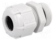 Cable gland; PG16; IP68; polyamide; grey; UL94V-2 BM GROUP