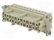 Connector: HDC; contact insert; female; Han® Ex; PIN: 24; 24+PE HARTING