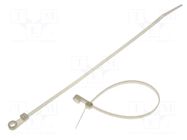 Cable tie; with a hole for screw mounting; L: 221.3mm; W: 4.2mm KSS WIRING