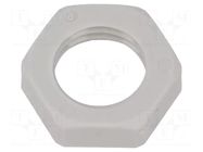 Nut; M12; polyamide; Thk: 5mm; Spanner: 17mm; grey; Thread: metric HUMMEL