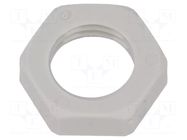 Nut; M12; polyamide; Thk: 5mm; Spanner: 17mm; grey; Thread: metric HUMMEL