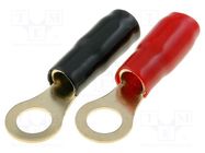 Terminal: ring; M8; 22mm2; gold-plated; insulated; red and black 