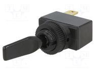 Switch: toggle; Pos: 2; SPST; ON-OFF; 10A/12VDC; R13-18 SCI