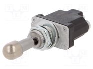 Switch: toggle; Pos: 3; SP3T; ON-OFF-ON; 6A/230VAC; 20A/28VDC; NT 