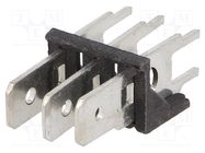 Terminal: spade terminal strip; 6.3mm; 0.8mm; THT; steel; tinned 