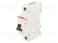 Circuit breaker; 230/400VAC; Inom: 6A; Poles: 1; Charact: C; 6kA ABB