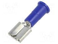 Terminal: flat; 6.4mm; 0.8mm; female; crimped; for cable; insulated KEYSTONE