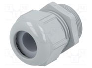 Cable gland; M32; 1.5; IP68,IP69K; polyamide; dark grey; SKINTOP® LAPP