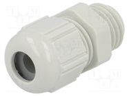 Cable gland; M12; 1.5; IP68,IP69K; polyamide; light grey; SKINTOP® LAPP