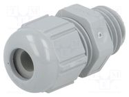 Cable gland; M12; 1.5; IP68,IP69K; polyamide; dark grey; SKINTOP® LAPP