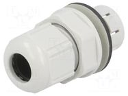 Cable gland; IP68; polyamide; light grey; push-in; SKINTOP® LAPP