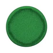 PUSHBUTTON CAP, DHS/CONTROL PANEL, GRN