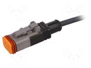 Cable: for sensors/automation; DT06-2S; PIN: 2; straight; 1.5m PHOENIX CONTACT