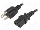 Cable; 3x18AWG; IEC C13 female,NEMA 5-15 (B) plug; PVC; 3m; black ESPE