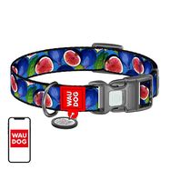 Waudog "Fig" nylon dog collar with QR code, size XL, Waudog