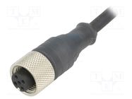 Connection lead; M12; PIN: 5; straight; 10m; plug; 24VAC; 4A; XZCP 