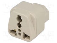 Transition: adapter; 2P+PE; 250VAC; 10A; Type: C13 (F); white; PIN: 3 