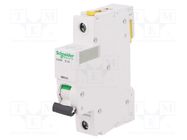 Circuit breaker; 230VAC; Inom: 2A; Poles: 1; for DIN rail mounting SCHNEIDER ELECTRIC