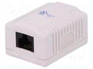 Connector: RJ45; socket; PIN: 8; Cat: 6; unshielded,single; 8p8c LOGILINK