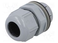 Cable gland; IP68; polyamide; dark grey; push-in; SKINTOP® CLICK 