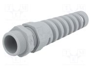 Cable gland; with strain relief; PG16; IP68; polyamide; dark grey LAPP