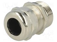 Cable gland; PG13,5; IP68; brass; Body plating: nickel BM GROUP