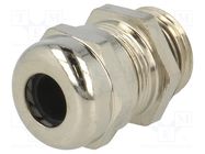 Cable gland; PG9; IP68; brass; Body plating: nickel BM GROUP