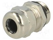 Cable gland; PG7; IP68; brass; Body plating: nickel BM GROUP