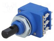 Potentiometer: shaft; 300kΩ; with push-push switch SR PASSIVES