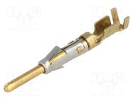 Contact; male; gold-plated; 18AWG÷16AWG; CB; bulk; crimped; 10A AMPHENOL LTW