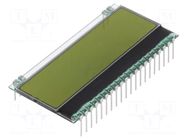 Display: LCD; alphanumeric; STN Positive; 8x1; yellow-green; 1x20 DISPLAY VISIONS