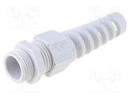 Cable gland; with strain relief; PG11; 1.5; IP68; polyamide; grey HELUKABEL