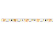 477149-600SMD-2835-12V.jpg