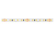 477170-600SMD-2835-24V.jpg