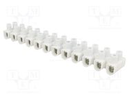 Terminal block; screw terminal; 4÷16mm2; 450V; ways: 12; white ELECTRO TERMINAL