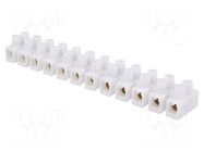 Terminal block; screw terminal; 6mm2; 400V; 41A; ways: 12; white PAWBOL