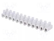 Connector: terminal block; 450V; screw terminal; Contacts: steel ELECTRO TERMINAL