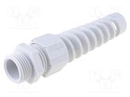 Cable gland; with strain relief; M20; 1.5; IP68; polyamide; grey HELUKABEL